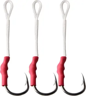 Agool 792990050386 Fishing Assist Hooks With Pe Line For Jigging - 30pcs Saltwater Jig 10/0 Agool 792990050386 Fishing Assist Hooks With Pe Line For Jigging - 30pcs Saltwater Jig 10/0