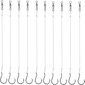 Annibby 048518540779 10pcs Extra Strong Offset Circle Hooks Saltwater Fishing Hook 2/0# Nickel