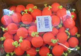 Betts Tackle B100w-50r 1 Inch Red Fluorescent Weighted Snap On Float Bag Of 50 Betts Tackle B100w-50r 1 Inch Red Fluorescent Weighted Snap On Float Bag Of 50