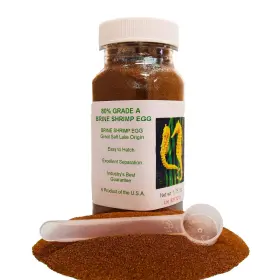 Brine Shrimp Direct Bsea1.75z Grade A Eggs 1.75 Oz Brine Shrimp Direct Bsea1.75z Grade A Eggs 1.75 Oz