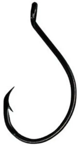 Eagle Claw L2222gh-2 L2222g-2 Black Platinum Circle Hook Size 2 10ct