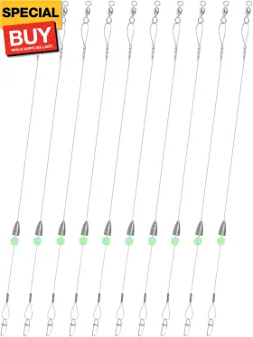 Fishing Tackle Ltd. 711181207538 Carolina Rigs For Fishing- 12 Inch Steel Leaders With Weight Pr
