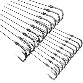 Zruoyi 770456954751 Joyiii Small Fishing Hooks With Mono Line Super 6# 2.2lb-4.4lb Silver